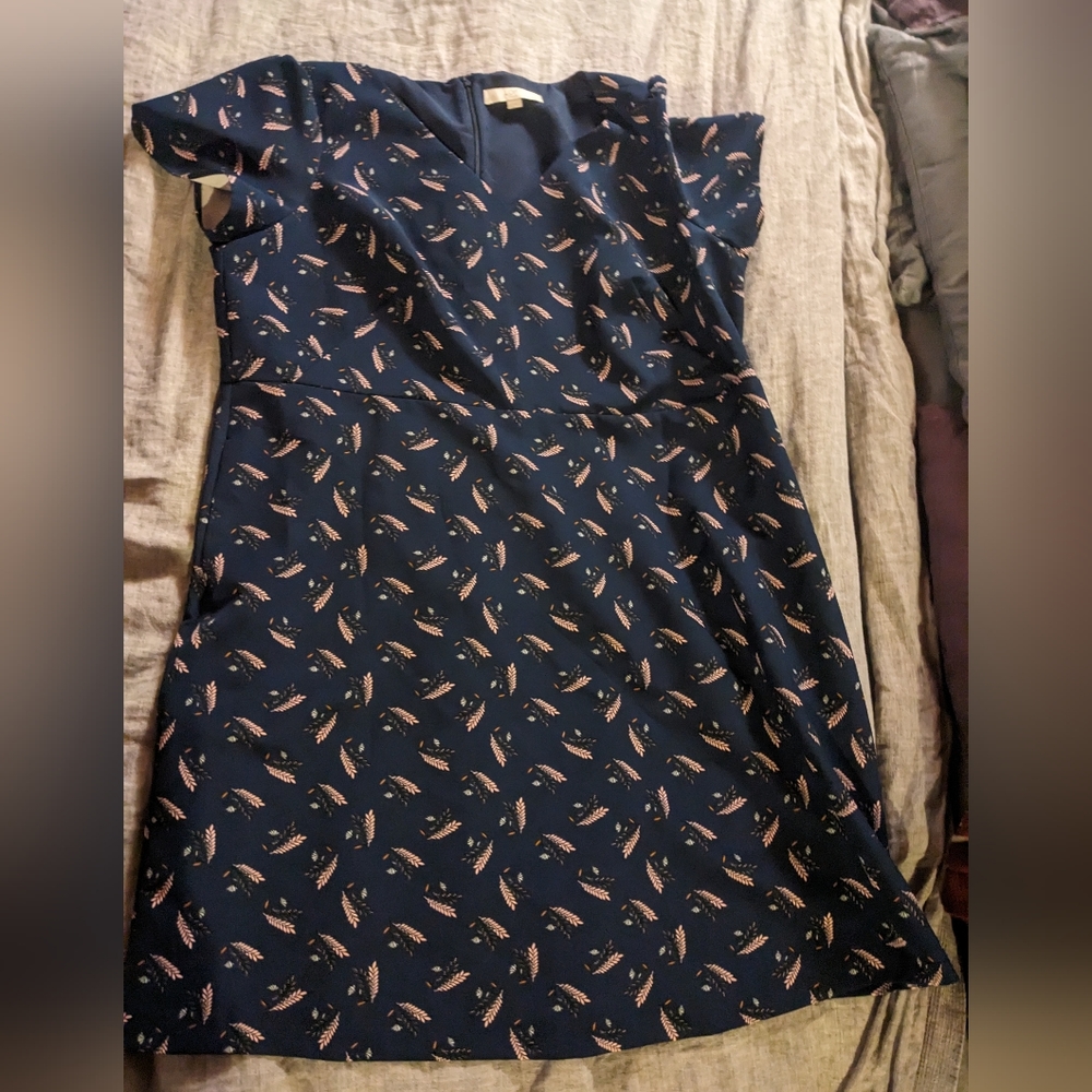 Size 20 Loft Dress